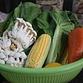 IMG_7373.JPG