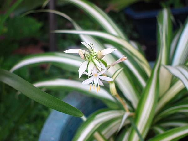 IMG_3695 IMG_3695