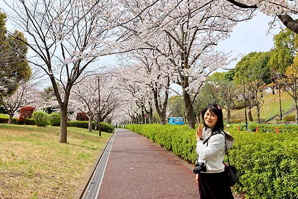 東京賞櫻之旅(2025/04/06)
