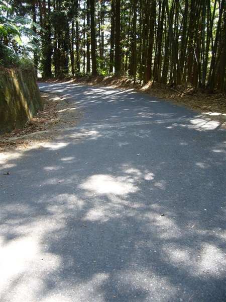 阿里山旁邊的瑞峰