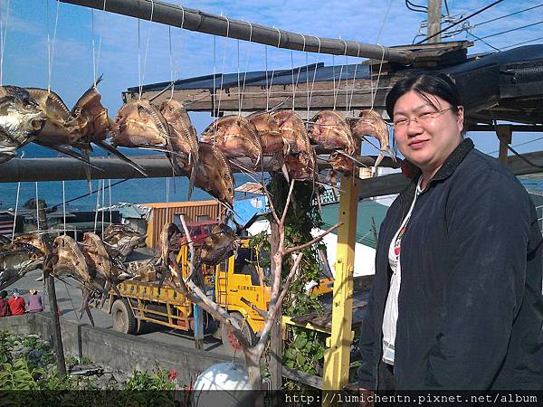 藍天飛魚林大姐