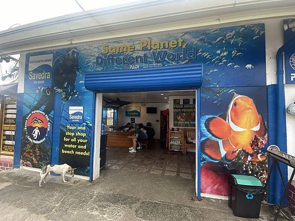 宿霧之旅 玩水篇 宿霧之旅 玩水篇