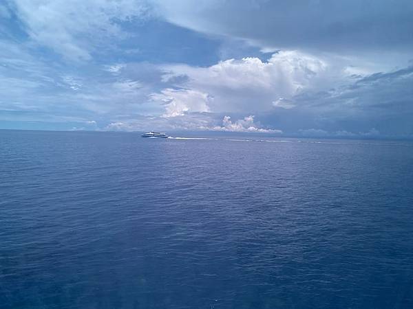 宿霧 薄荷島篇-巧克力山&眼鏡猴保護區