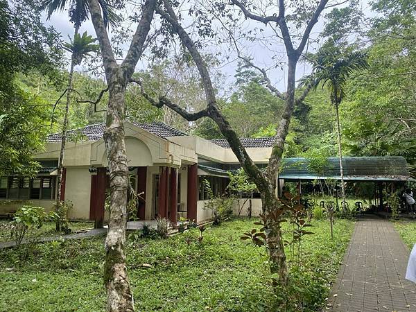 宿霧 薄荷島篇-巧克力山&眼鏡猴保護區