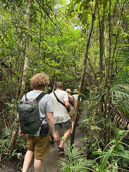 宿霧 薄荷島篇-巧克力山&眼鏡猴保護區
