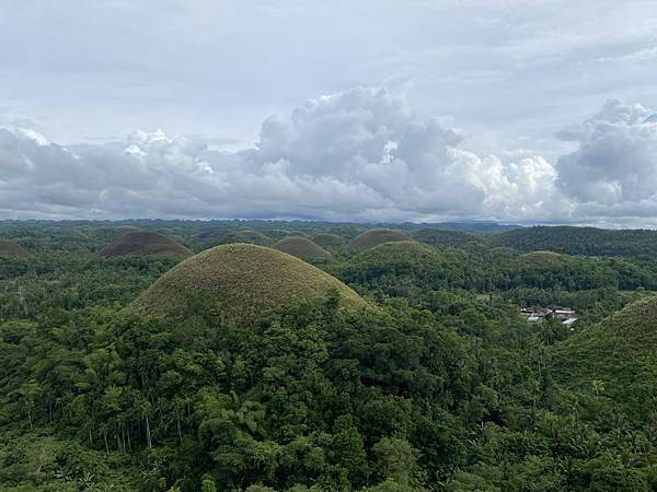 宿霧 薄荷島篇-巧克力山&眼鏡猴保護區