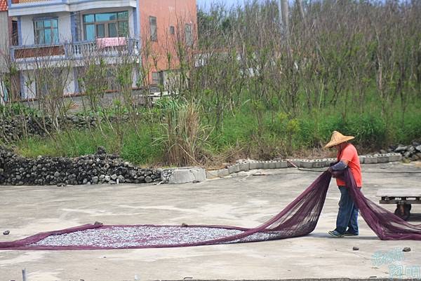 019 井垵曬魚場.jpg 019 井垵曬魚場.jpg