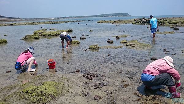036 中屯電力風車潮間帶.jpg 036 中屯電力風車潮間帶.jpg
