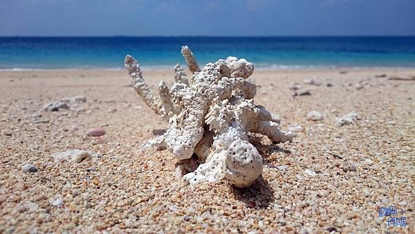 018 吉貝.jpg 018 吉貝.jpg