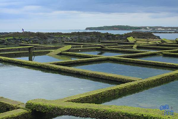 032 池西.jpg 032 池西.jpg