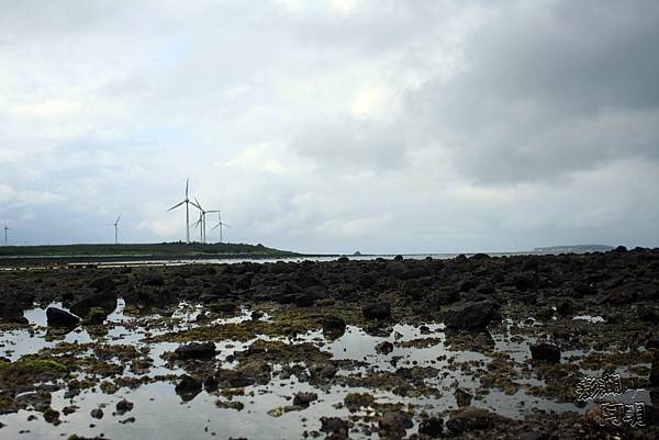 045雁情嶼 045雁情嶼