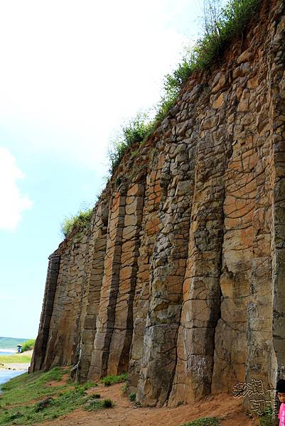 大果葉001.JPG 大果葉001.JPG