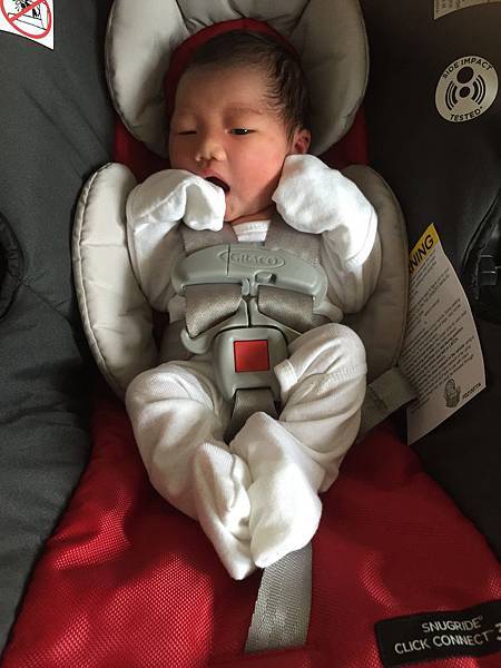 IMG_8230.jpg IMG_8230.jpg