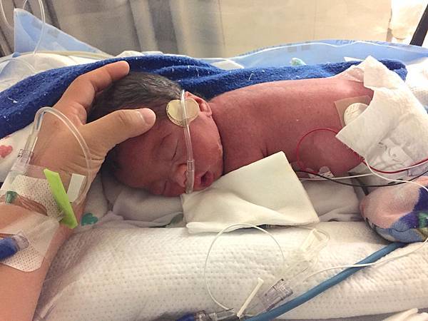 IMG_9320.JPG IMG_9320.JPG