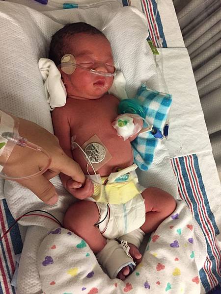 IMG_9368.JPG IMG_9368.JPG