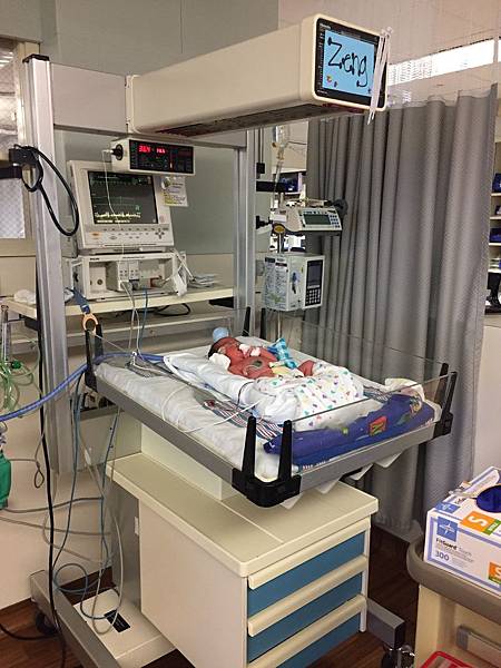 IMG_9350.JPG IMG_9350.JPG