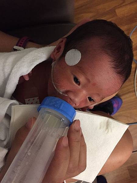 IMG_9505.JPG IMG_9505.JPG