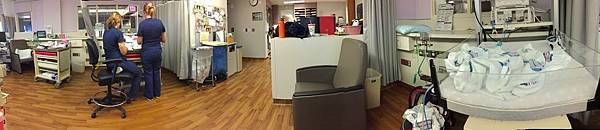 IMG_0484.jpg IMG_0484.jpg