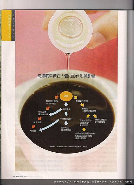 含糖飲料的秘密7.jpg