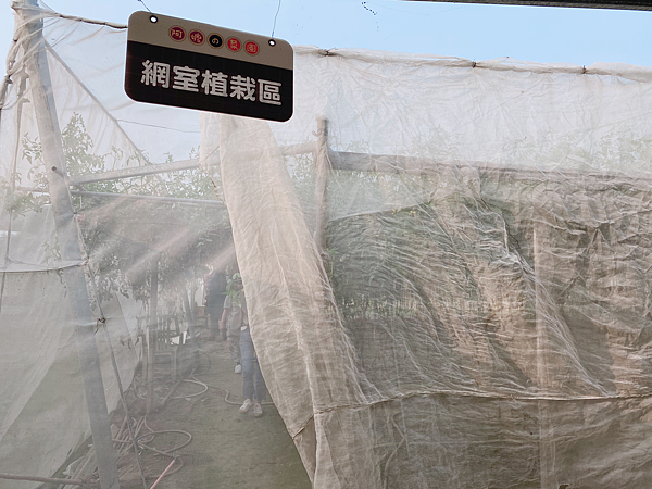 【團購】南科贊美酒店：台南善化親子套裝行程！焢窯、觀光果園超