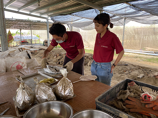 【團購】南科贊美酒店：台南善化親子套裝行程！焢窯、觀光果園超