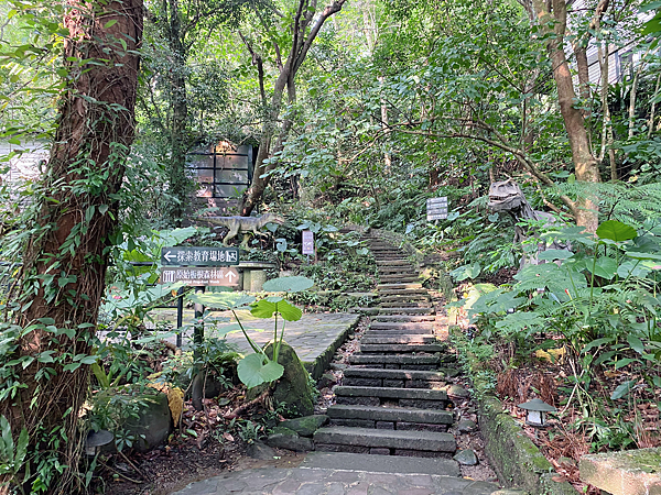 【親子旅遊】新北三峽大板根：一泊二食泡湯慢活行程！附近景點？