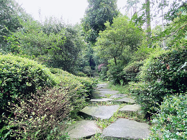 【親子旅遊】新北三峽大板根：一泊二食泡湯慢活行程！附近景點？