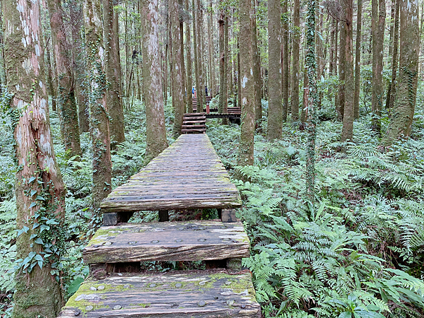 【親子旅遊】宜蘭明池山莊一泊二食：此生必去仙境夢幻湖（含小木