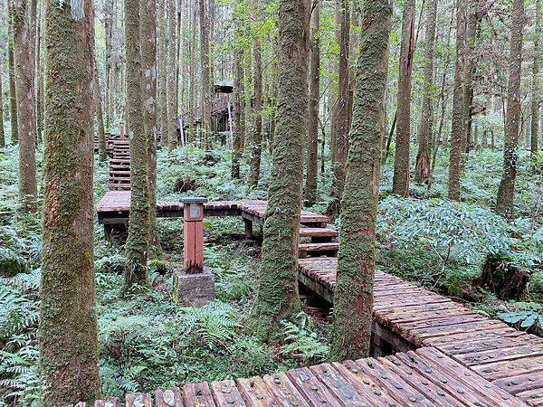 【親子旅遊】宜蘭明池山莊一泊一食：此生必去仙境夢幻湖（含小木