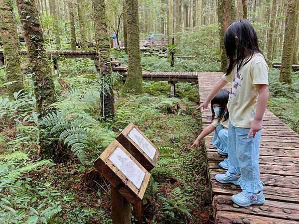 【親子旅遊】宜蘭明池山莊一泊一食：此生必去仙境夢幻湖（含小木