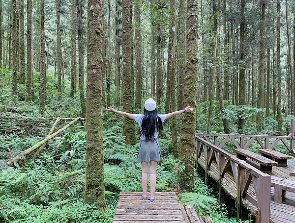 【親子旅遊】宜蘭明池山莊一泊二食：此生必去仙境夢幻湖（含小木