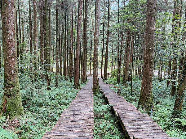 【親子旅遊】宜蘭明池山莊一泊二食：此生必去仙境夢幻湖（含小木