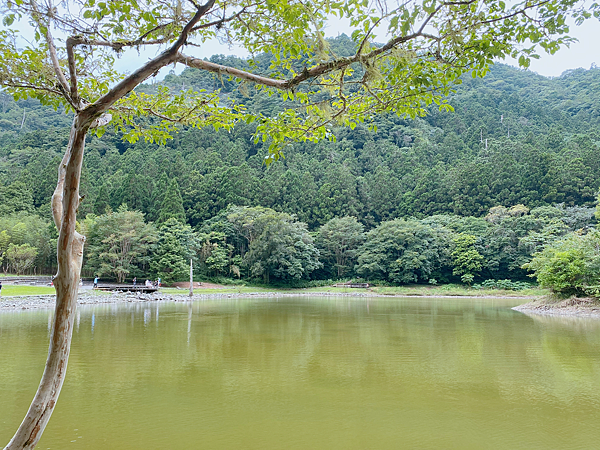 【親子旅遊】宜蘭明池山莊一泊一食：此生必去仙境夢幻湖（含小木