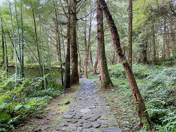 【親子旅遊】宜蘭明池山莊一泊二食：此生必去仙境夢幻湖（含小木