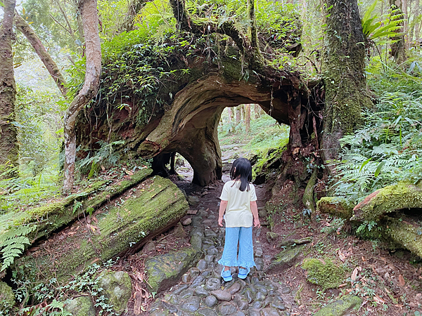 【親子旅遊】宜蘭明池山莊一泊二食：此生必去仙境夢幻湖（含小木