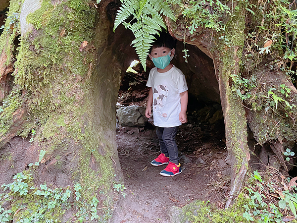 【親子旅遊】宜蘭明池山莊一泊二食：此生必去仙境夢幻湖（含小木