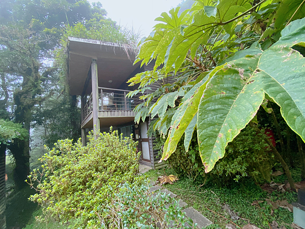 【親子旅遊】宜蘭明池山莊一泊一食：此生必去仙境夢幻湖（含小木