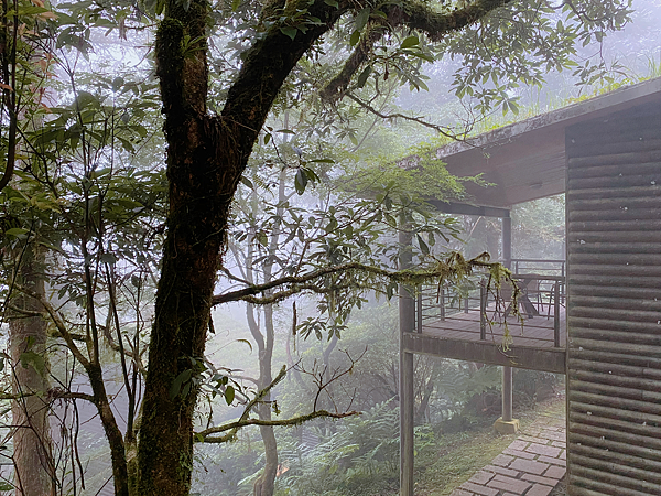 【親子旅遊】宜蘭明池山莊一泊一食：此生必去仙境夢幻湖（含小木