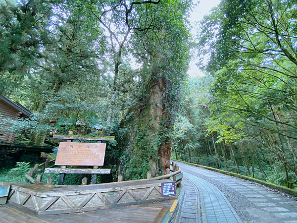 【親子旅遊】宜蘭明池山莊一泊一食：此生必去仙境夢幻湖（含小木