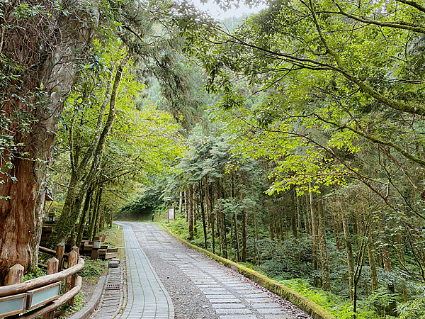 【親子旅遊】宜蘭明池山莊一泊一食：此生必去仙境夢幻湖（含小木