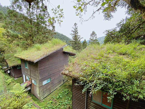 【親子旅遊】宜蘭明池山莊一泊二食：此生必去仙境夢幻湖（含小木