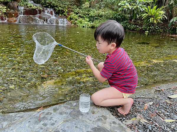 【宜蘭住宿】紫森林三富休閒農場～溪水抓蝦、餵食魚鴨、夜間生態