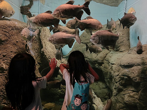 【團購】花蓮遠雄海洋公園水族館夜宿：親親夜未眠兩天一夜行程大