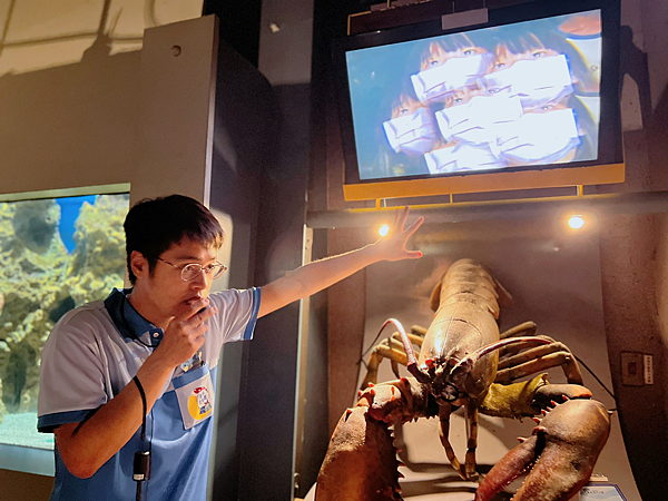 【團購】花蓮遠雄海洋公園水族館夜宿：親親夜未眠兩天一夜行程大