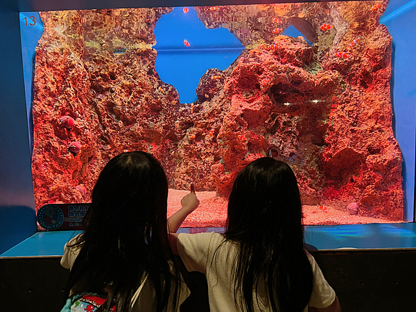 【團購】花蓮遠雄海洋公園水族館夜宿：親親夜未眠兩天一夜行程大