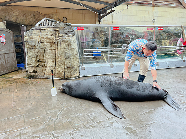 【團購】花蓮遠雄海洋公園水族館夜宿：親親夜未眠兩天一夜行程大