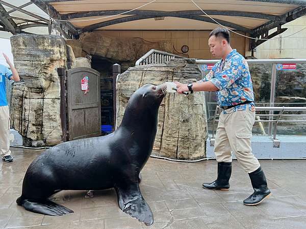 【團購】花蓮遠雄海洋公園水族館夜宿：親親夜未眠兩天一夜行程大