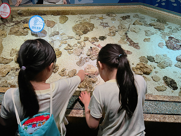 【團購】花蓮遠雄海洋公園水族館夜宿：親親夜未眠兩天一夜行程大