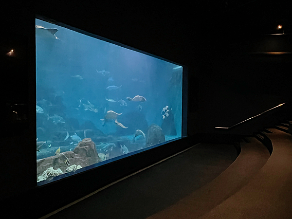 【團購】花蓮遠雄海洋公園水族館夜宿：親親夜未眠兩天一夜行程大