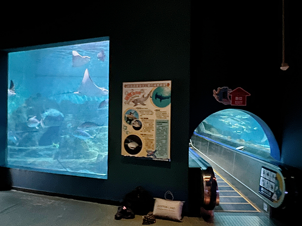 【團購】花蓮遠雄海洋公園水族館夜宿：親親夜未眠兩天一夜行程大